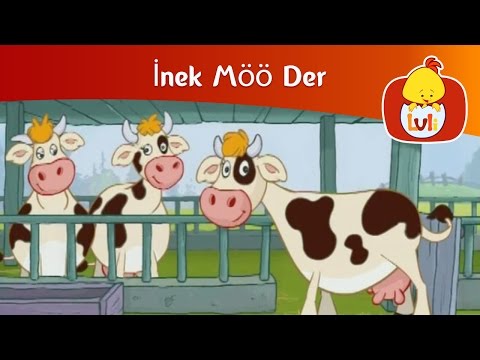 İnek Möö Der - İnek, Luli TV