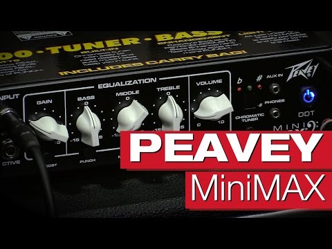 Peavey MiniMAX | session