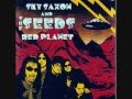Sky Saxon and the Seeds "Cracking Ice"