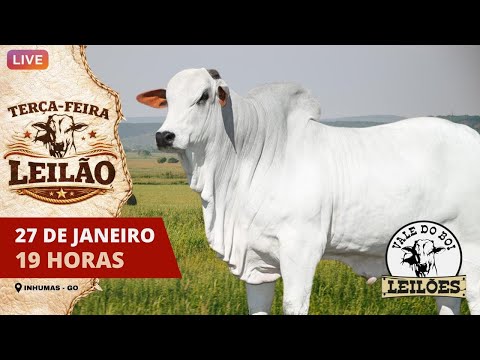 VALE DO BOI LEILOES - INHUMAS GO  - LEILAO VIRTUAL E PRESENCIAL -   27JANEIRO 2026
