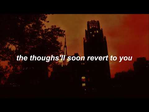 Dangerous Animals - Arctic Monkeys - Lyrics