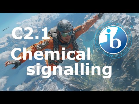 2025 IB Biology – C2.1 Chemical Signaling