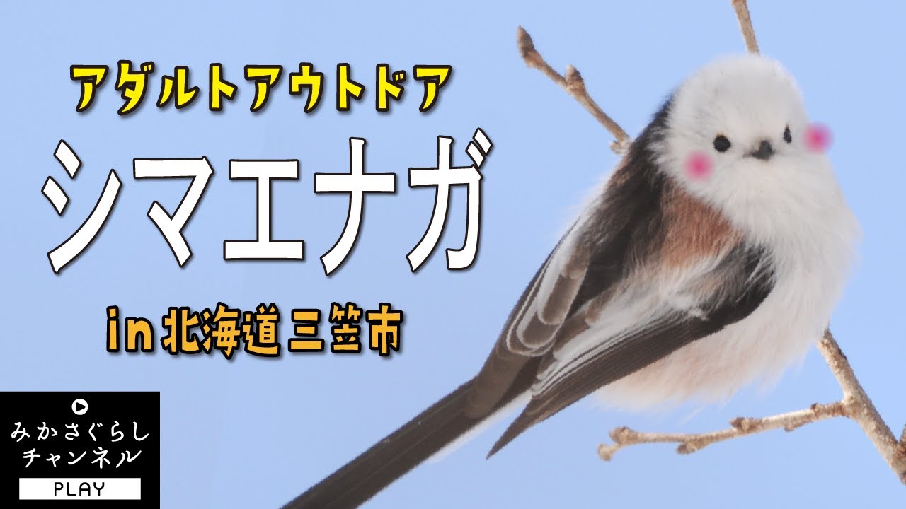 クラウドファンディングプロジェクト：ドラマが生まれたまち"三笠市"冬のイベント『北海道超三笠フェスティバル』開催へ！