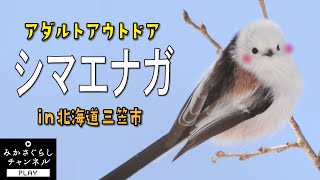 クラウドファンディングプロジェクト：ドラマが生まれたまち"三笠市"冬のイベント『北海道超三笠フェスティバル』開催へ！