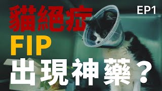 [心得] 《我不是藥神，我只是貓奴》FIP紀錄片