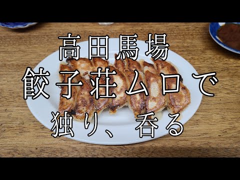 Shinjuku-ku, Tokio Takadanobaba Gyozaso Muro Gyoza Gyoza 🥟 Cerveza embotellada Cerveza Sake caliente 🍶 Highball Horseneck Pitan Pollo frito con hueso de cerdo Tendón de ternera guisado