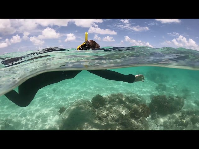 Australien - Great Barrier Reef