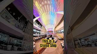 Wild Bar Show on Celebrity Apex 🍸