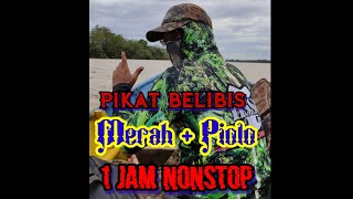 Download lagu PIKAT BURUNG BELIBIS MERAH DAN PIOLO 1 JAM NONSTOP mp3