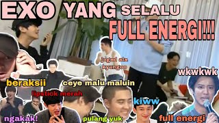 Download lagu EXO KALO LAGI KELEBIHAN ENERGI - EXO Funny Moments mp3