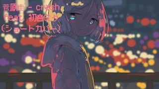 菅原圭 - crash  feat. 初音ミク(ショートカバー)  #Shorts