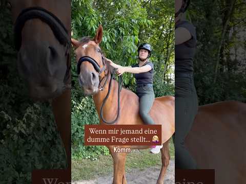 Dumme Fragen… 🤦🏼‍♀️🐴 #ausreiten #horse #pferd #pferde #reiten #lustig #lustigevideos
