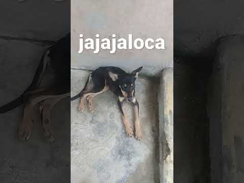 14 de agosto de 2023