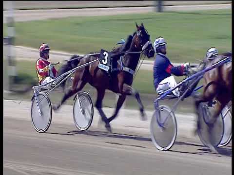 Trotto 12/05/2019 - 4ª corsa