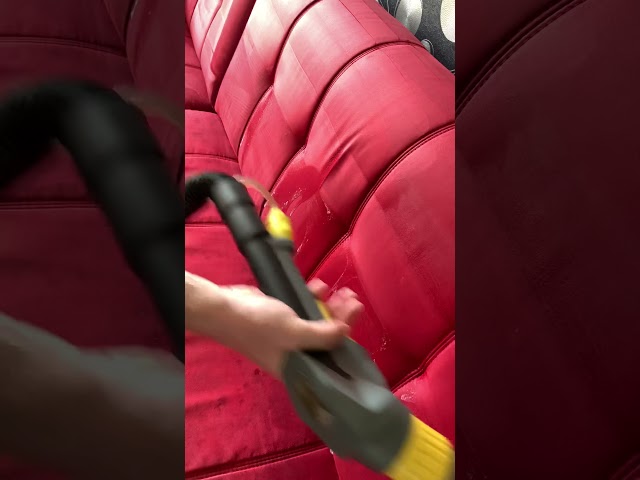 Фото Процес хімчистки дивана.