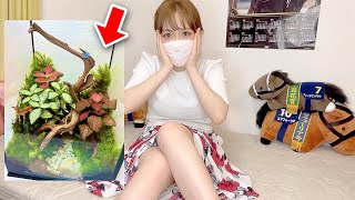 ◯万円の｢苔のテラリウム｣がヤバすぎる‼︎‼︎