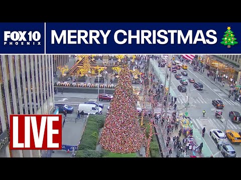 🔴LIVE WEBCAMS around the world | December 25