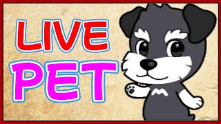 【ペットLIVE】ペットのあれこれ
