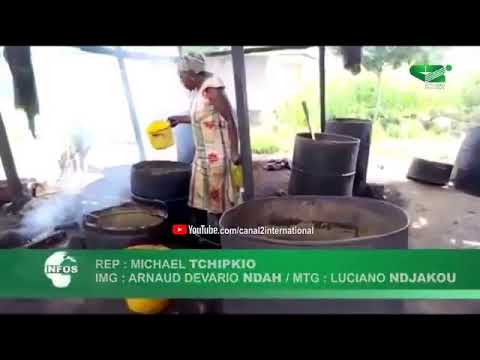 LE JOURNAL 20H00 du Dimanche 14/06/2020 - Canal 2 international