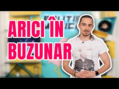 Politia Muzicii: ANDY POPESCU - On Top, ANTONIO PICAN - Mitraliera