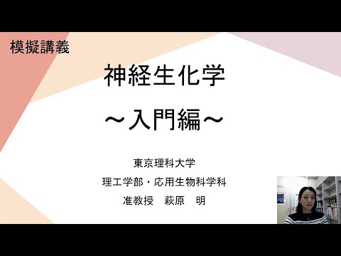 模擬講義「神経生科学」