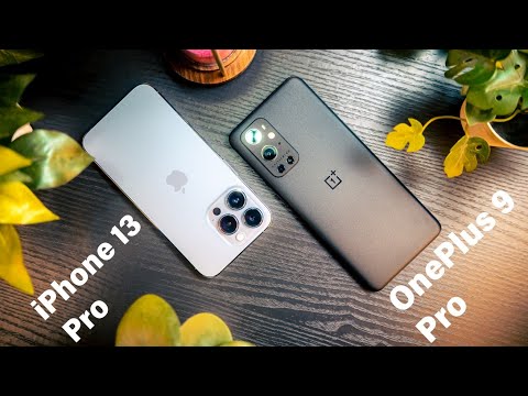 iPhone 13 Pro VS OnePlus 9 Pro Camera Comparison (Photography)