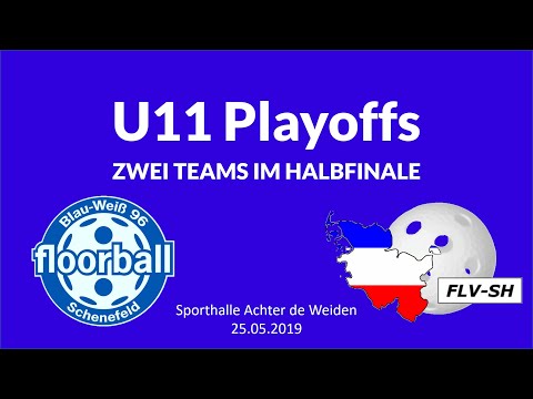 U11 Playoffs 2018/19 | BW96 Schenefeld Floorball | FLV-SH