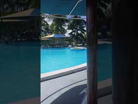 Ilha do paraíso video