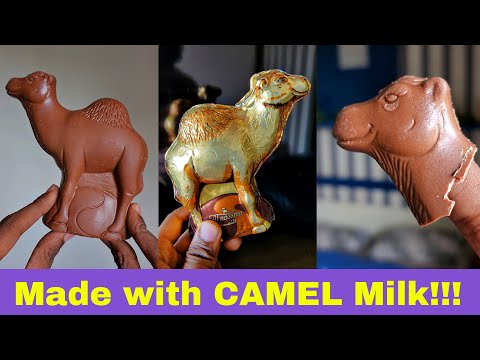 Made with Camel Milk Chocolate