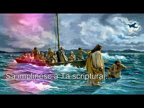 Pune Doamne dragostea - Franti din Buzias