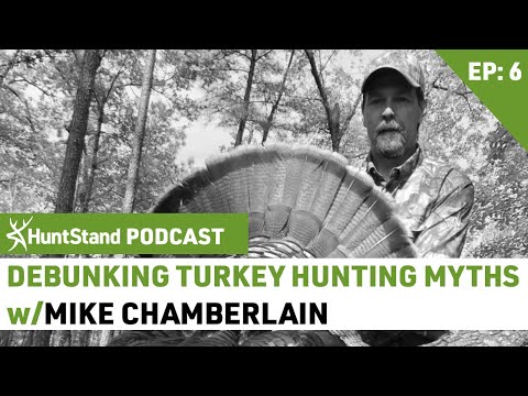 DEBUNKING Turkey Hunting Myths || Mike Chamberlain aka Wild Turkey Doc