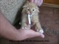 Stoppen met