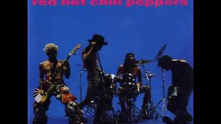 Red Hot Chili Peppers - Sock-Cess - 10) Special Secret Song Inside