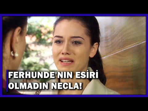 Her Şeyi Anlattım Ali'ye! - Yaprak Dökümü 151.Bölüm