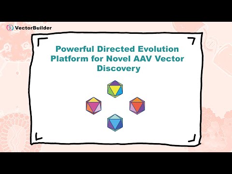 Powerful Directed Evolution Platform for Novel AAV Vector Discovery