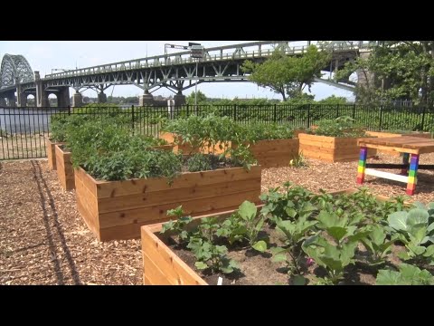 Public community garden opens in Burlington County | Video | NJ Spotlight News
