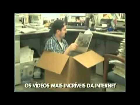 Achtung jetzt kommt ein Karton - und dann der Kater - oder anders herum???