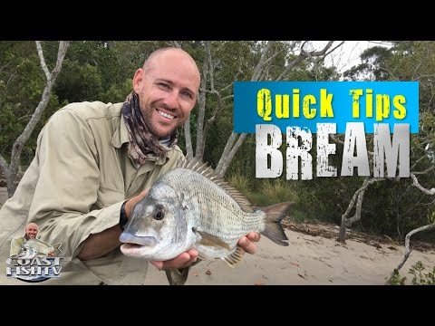 HOW TO CATCH BIG Bream on bread | Quick tips for beginners