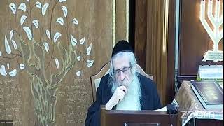 הרה"ג הרב וועכטר שליט"א ז' חשון תשפ"ד - מאמר תורה אור בראשית ד"ה להבין עניין הברכות חלק ח' (הרב אברהם מנחם מענדל וכטר) - התמונה מוצגת ישירות מתוך אתר האינטרנט יוטיוב. זכויות היוצרים בתמונה שייכות ליוצרה. קישור קרדיט למקור התוכן נמצא בתוך דף הסרטון