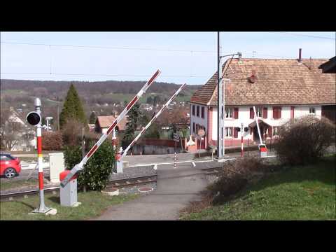 Spoorwegovergang / Bahnübergang BLT Linie 10 Rue du Landskron Leymen