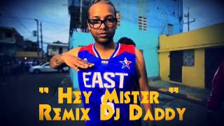 HEY MISTER (REMIX) - DJ DADDY &amp; JOWEL Y RANDY FT FALO WATUSSI Y LOS PEPE 2013