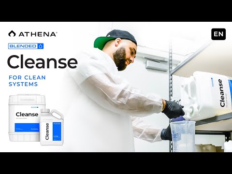 Athena Cleanse – For Clean Systems