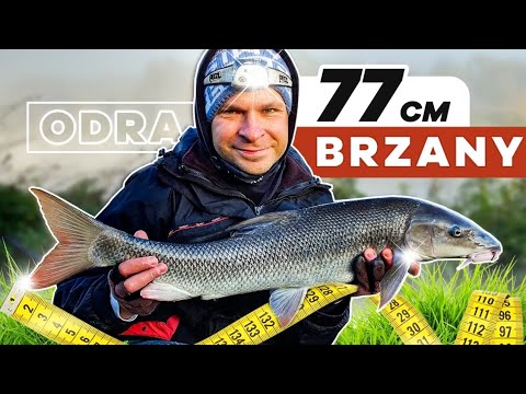 349 UDANA TAKTYKA - RZEKA ODRA - BRZANY ❗️❗️❗️