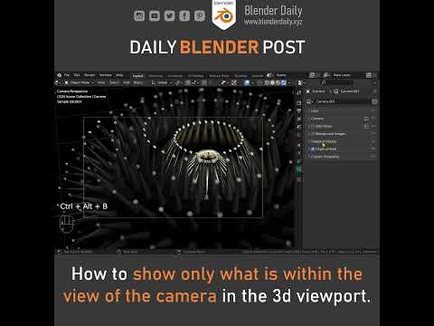 Display only what is within the view of the Camera in Blender