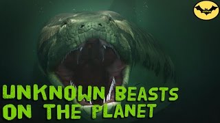 World alert! 5 Real Monsters Inhabit The Earth.