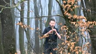 Inis Mona. Celtic music  in mystical forest.