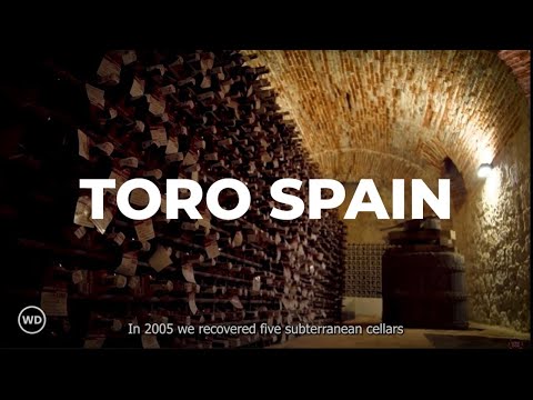 Uncorking Ancient Secrets: Toro Wine's Pre-Roman Origins