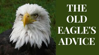 THE OLD EAGLE&#39;S ADVICE/ COMFORT ZONE