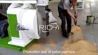 How to Use Ring Die Pellet Machine to Produce Cattle Feed Pellets?