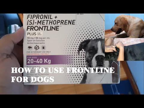 How to apply Frontline Plus for Dogs | topical anti-tick and flea